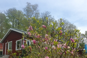 Foto på Solbackens storstuga.