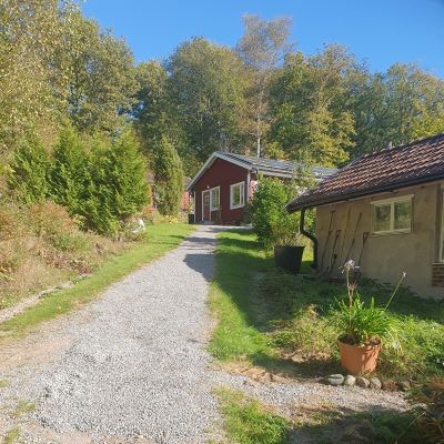 Foto på uppfarten till Solbacken.